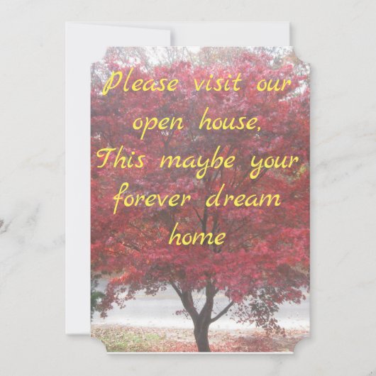 Invitations Open House (Devant)