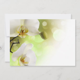 Invitations orchidées