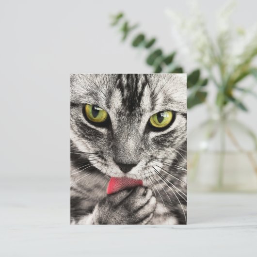 Invitations Papeterie Cartes de voeux (Debout devant)