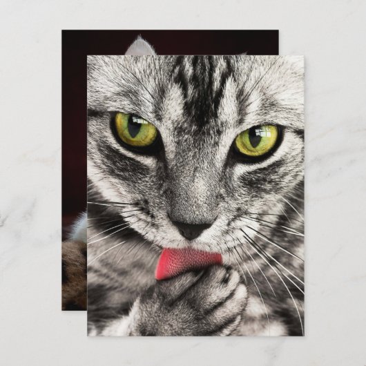 Invitations Papeterie Cartes de voeux (Devant / Derrière)