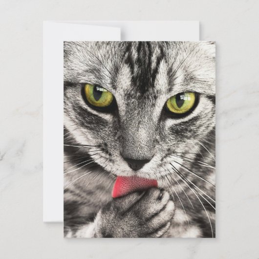 Invitations Papeterie Cartes de voeux Vacances (Devant)