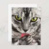 Invitations Papeterie Cartes de voeux Vacances (Devant / Derrière)