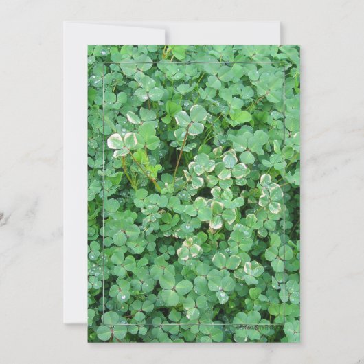 Invitations personnalisées Green White Shamrocks (Devant)