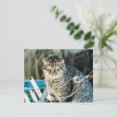 Invitations sauvages de chat de Tom de punk rock (Debout devant)