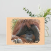 Invitations sauvages de fête d'anniversaire (Debout devant)