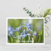 Invitations Spring Bulles (Debout devant)