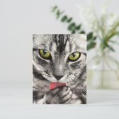 Invitations Stationery  Greeting Cards  Holida (Debout devant)