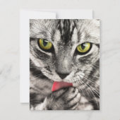 Invitations Stationery  Greeting Cards  Holida (Devant)