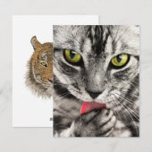 Invitations Stationery  Greeting Cards  Holida (Devant / Derrière)