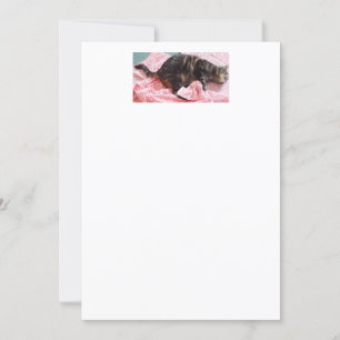 Invitations Tailor Dave