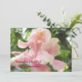 Invitations tropicales hawaïennes de ketmie (Debout devant)