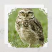 Invitations vigilantes de hibou (Devant / Derrière)