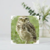 Invitations vigilantes de hibou (Debout devant)