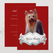 Invitations Yorkshire terrier chiots chiens Rouges (Devant / Derrière)