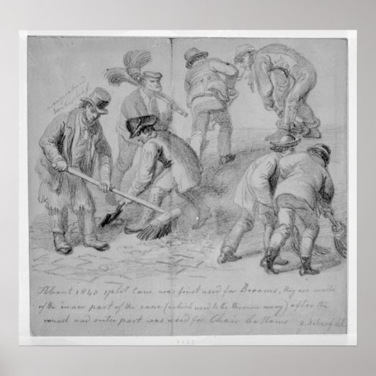 Invoering van gesplitste bezems van rietsuikerriet poster (Voorkant)