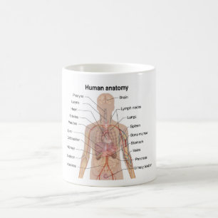 Inwendige organen Anatomiegrafiek menselijk lichaa Koffiemok