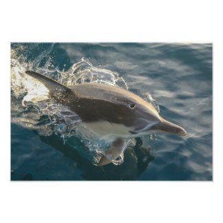 Inwoner Rider Foto Afdruk