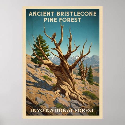 Inyo - Ancient Bristlecone Pine Forest V01 Poster (Voorkant)