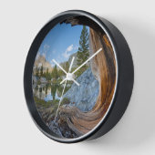 Inyo National Forest (Hoek)