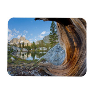 Inyo National Forest, Californië Magneet
