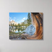 Inyo National Forest Canvas Afdruk (Voorkant)