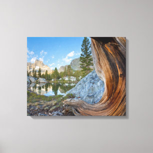 Inyo National Forest Canvas Afdruk
