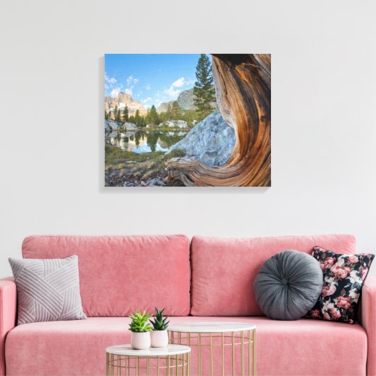 Inyo National Forest Canvas Afdruk (Insitu (Woonkamer))