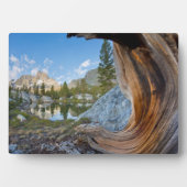 Inyo National Forest Fotoplaat (voorkant)