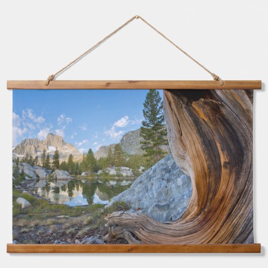 Inyo National Forest Hangend Wandkleed (Voorkant)