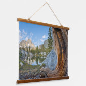 Inyo National Forest Hangend Wandkleed (Gebogen)