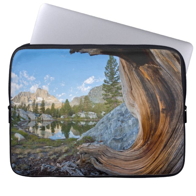 Inyo National Forest Laptop Sleeve (Voorkant)