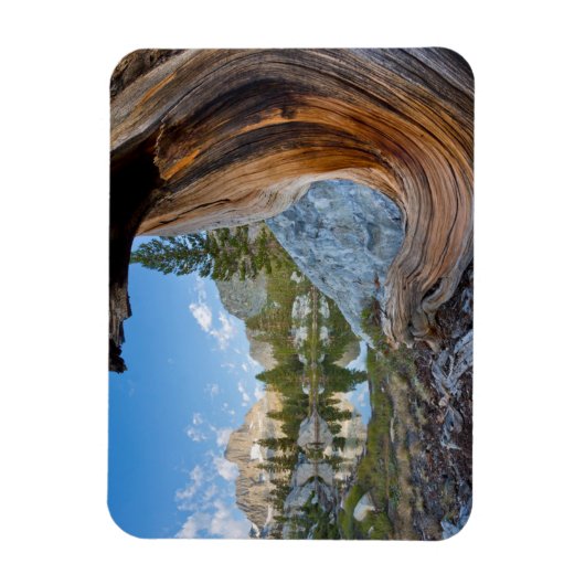 Inyo National Forest Magneet (Verticaal)