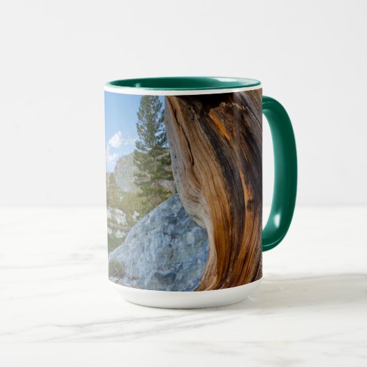 Inyo National Forest Mok (Voorkant rechts)