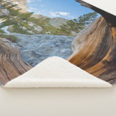 Inyo National Forest Sherpa Deken (3/4)