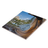 Inyo National Forest Tegeltje (Zijkant)