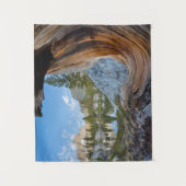 Inyo National Forest Wandkleed (Voorkant)