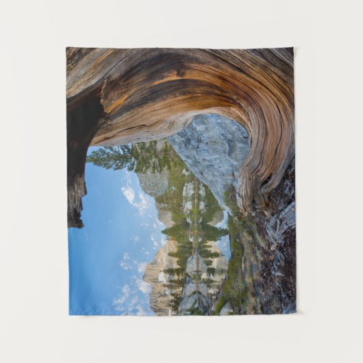 Inyo National Forest Wandkleed (Voorkant)