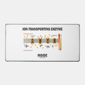 ionenvervoermiddel in actief vervoer bureaumat (Voorkant)