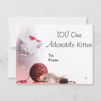 IOU One Schattig Kitten