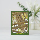 Iowa Barred Owl Briefkaart (Staand voorkant)