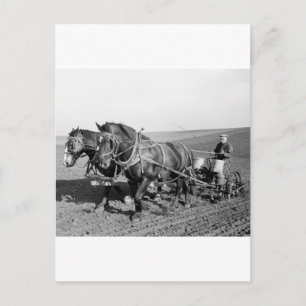 Iowa Corn Planter, jaren 40 Briefkaart
