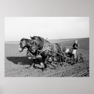 Iowa Corn Planter, jaren 40 Poster