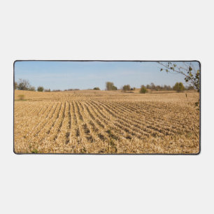 Iowa Cornfield Nature Paysage Panorama Photographi