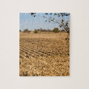 Iowa Cornfield Panorama Foto Legpuzzel