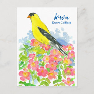 Iowa Eastern Goldfinch Roze Wilde Rozen Briefkaart