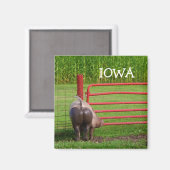 Iowa Magnet Magneet (Voorkant / Achterkant)