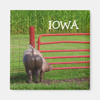 Iowa Magnet Magneet