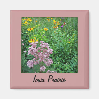 Iowa Prairie Magneet