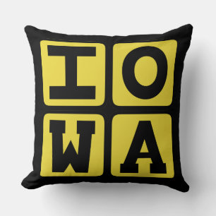 IOWA Staat Iowan Hawkeye Des Moines Cedar Rapids Kussen