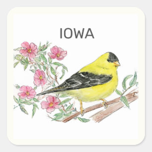 Iowa staatvogel en -bloem vierkante sticker